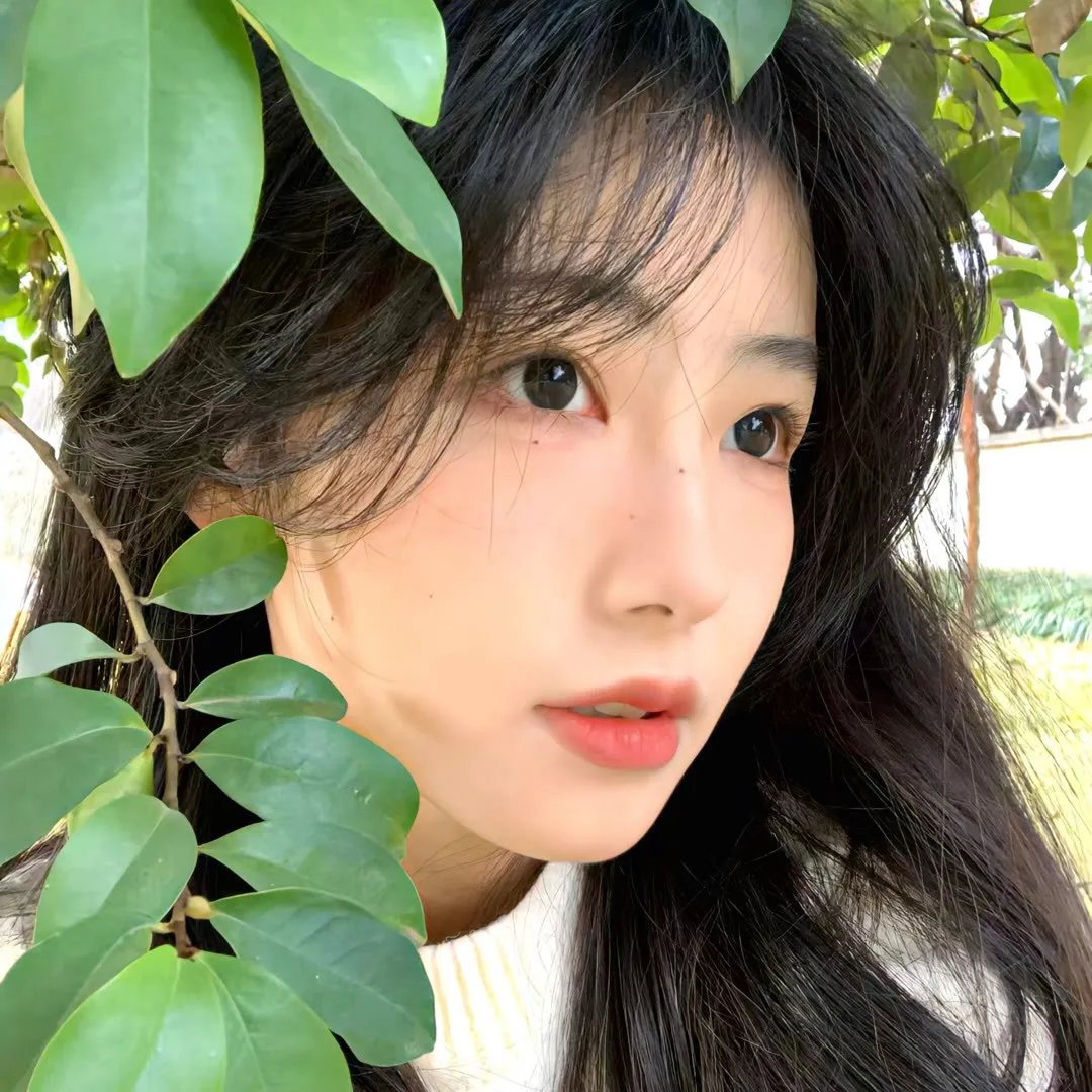 激情伴侣